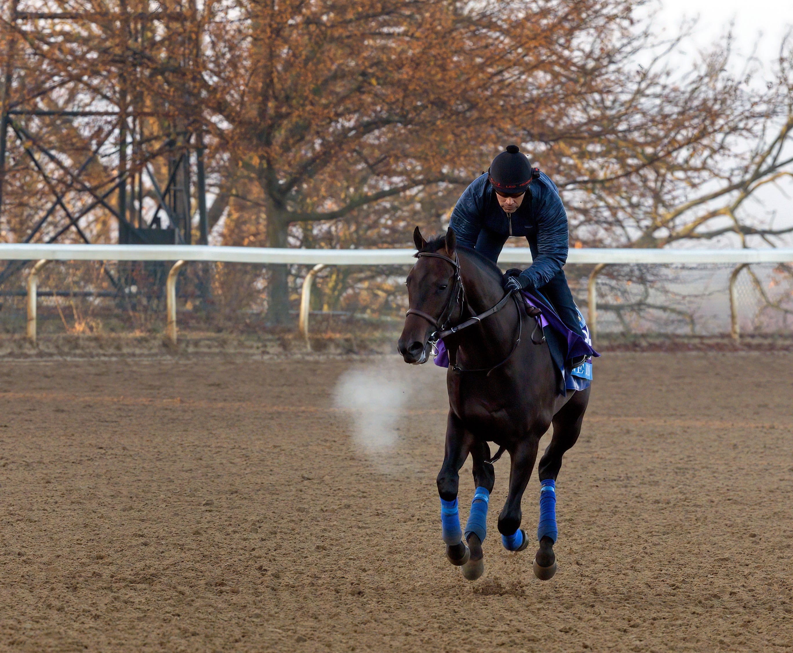 Multiple Grade 1 winner Cave Rock euthanized
